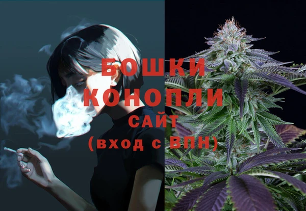 амф Заволжье